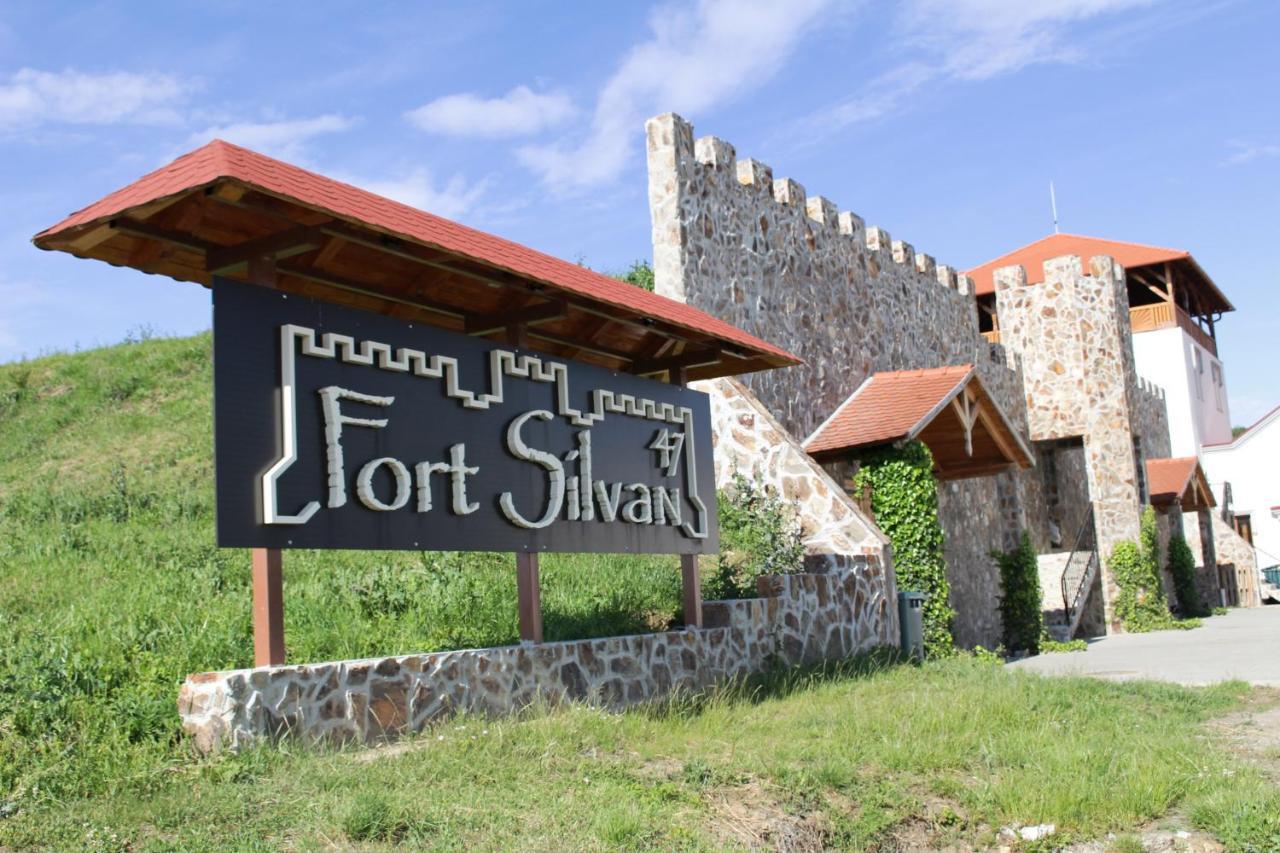Pensiunea Kemsilvanum Fort Silvan Camar Exterior foto