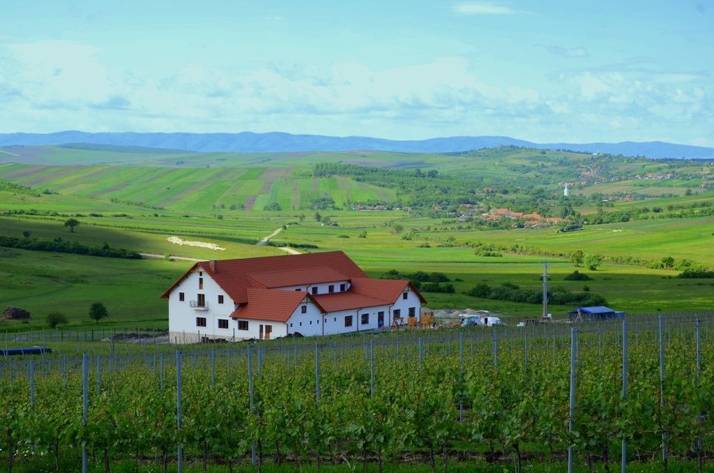 Pensiunea Kemsilvanum Fort Silvan Camar Exterior foto